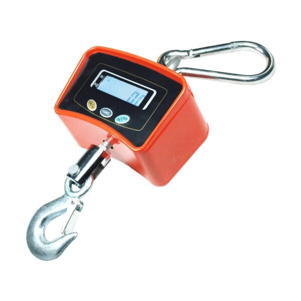 CS Euro Balance suspendue numérique pour grue 500 kg/200 g écran LCD OCS-B1