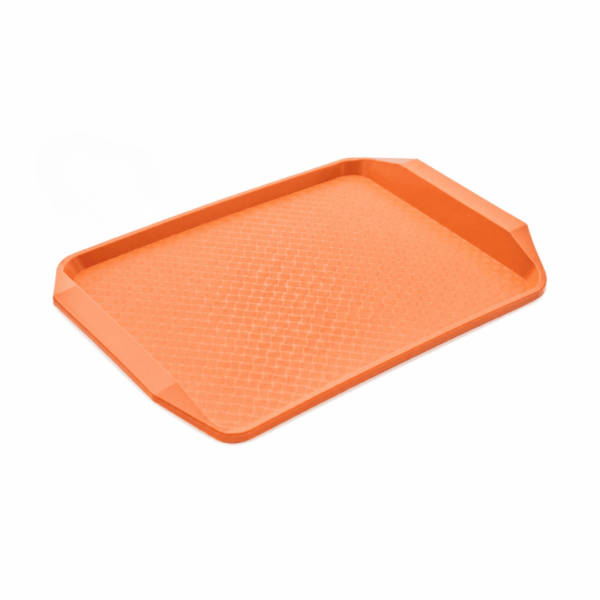 CS Euro Double Ear Fast food tray PP 430 x 300 x 30mm HZMFS-803