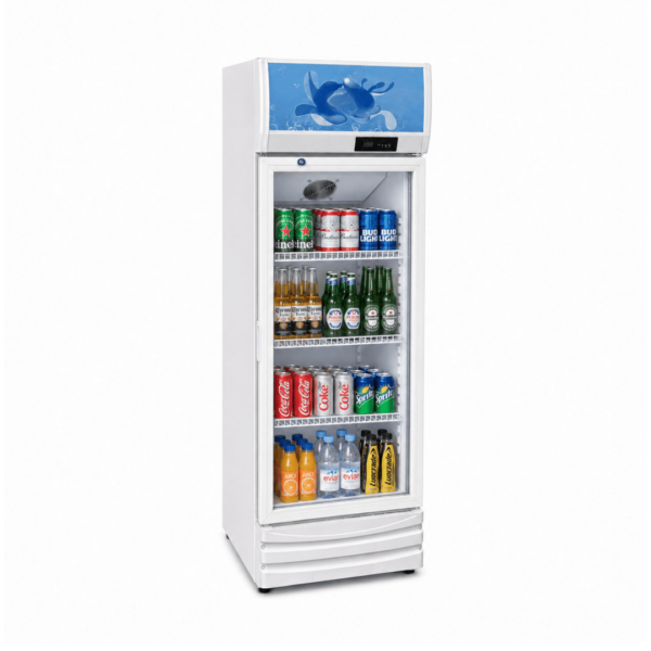CS Euro Upright Bottle Cooler 290L Single Glass Door LC290B